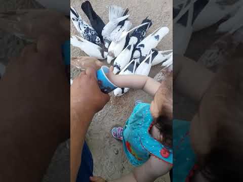 Туркменистан Краснаводск
