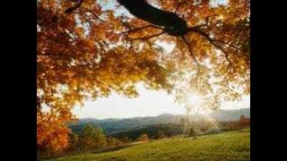 Jill Johnsson, Åh vilken härlig dag