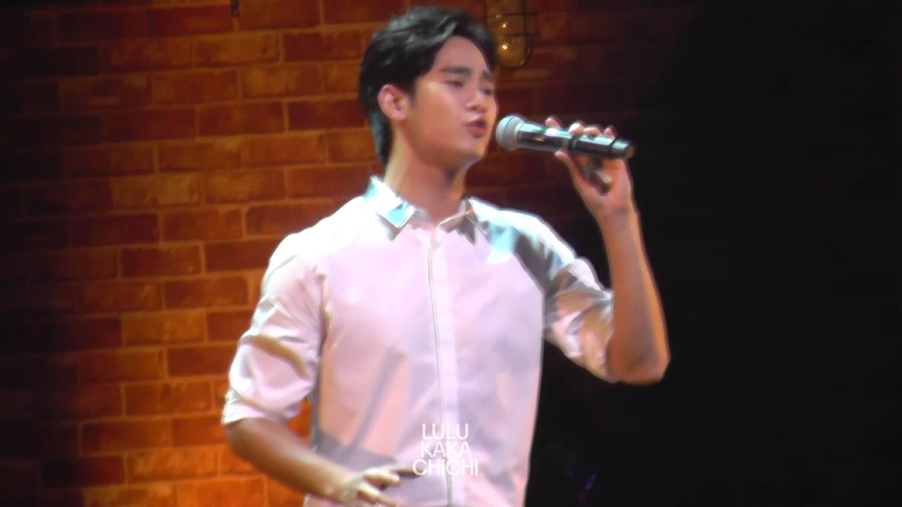 140518 Kim Soo Hyun Asia Tour 1st Memories in Japan - 너의집앞