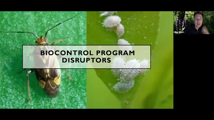 Greenhouse IPM 101, Vol.9:  Disruptors of Biocontrol in Your Greenhouse