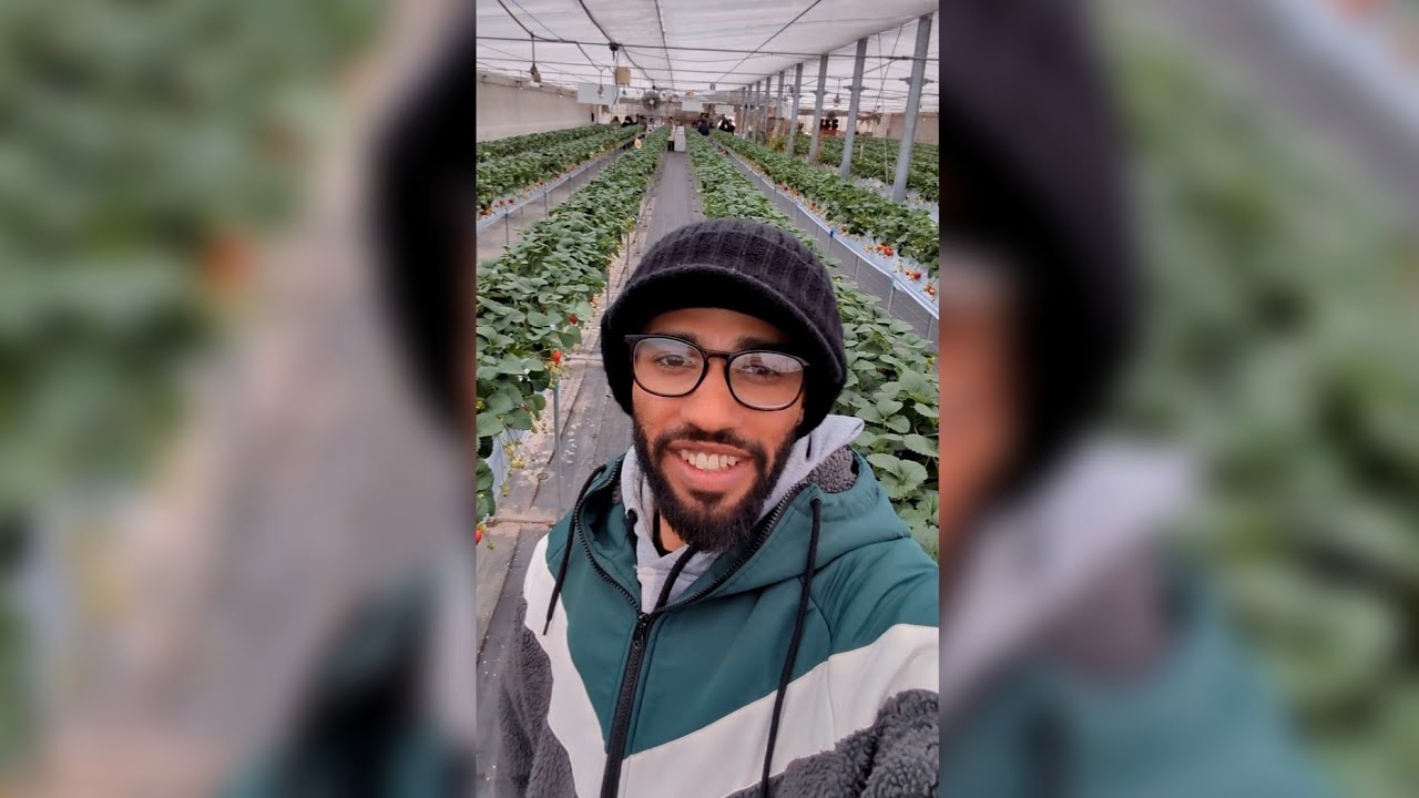 "Strawberry Farm"