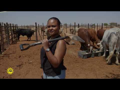 LYP3 Ep13 Animal