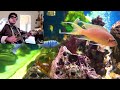Finding Nemo - Jammin With Stone 11/16/2025