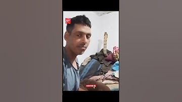 In this video a King Cobra snake enters a room #facts #youtube #cobra