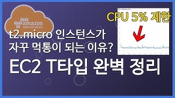 t2.micro 인스턴스가 먹통이 되는 이유?  -EC2 T타입 설명과 사용방법 완벽 정리 -