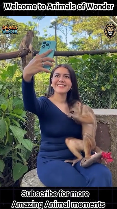 INCREDIBLE Animal Clips You CAN'T MISS!