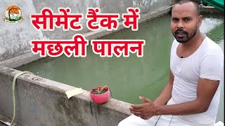 सीमेंट टैंक में मछली पालन की शुरुवात कैसे करे || Fish Farming in cement tenk | Duck And Fish Farming