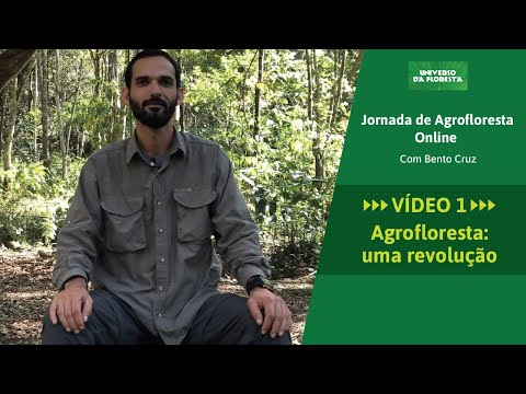 Agrofloresta: uma revolução