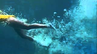 Gunze Womens Socks 80S Clic Commercial