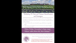 River Queen Greens Workshop Series: Pest and Disease Identification and Strategies
