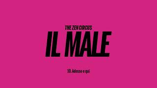 The Zen Circus - Adesso E Qui Official Visual
