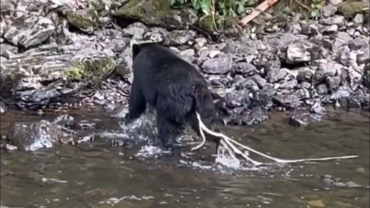 Tale of the Tape - YouTube