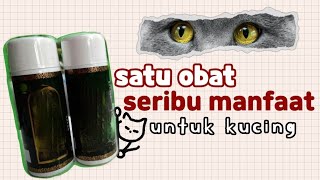 Obat Yang Bisa Menyembuhkan Berbagai Penyakit Kucing