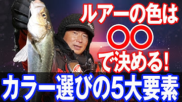 ルアーカラーを選ぶ際の５大要素を解説！オヌマンのシーバス塾