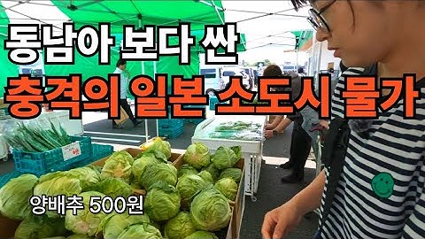 A shopping paradise discovered in a small Japanese city! A day of eating and sleeping in a shoppi...
