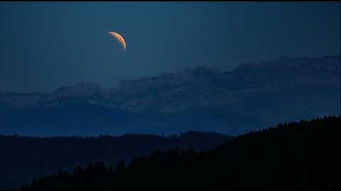 ما أجملها تلاوة عطره لاتوصف | محسن الغازي