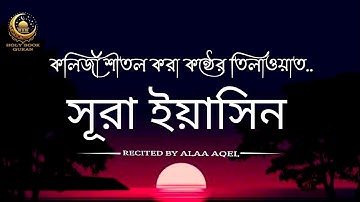সূরা ইয়াসিন অত্যন্ত দরদী কন্ঠে  তিলাওয়াত। سوره يس l Surah Yasin | Holy Book Quran