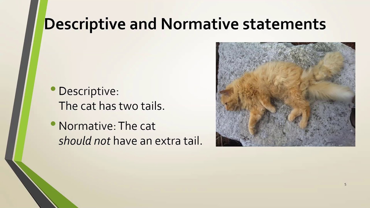 Moral Argument for God C.S. Lewis