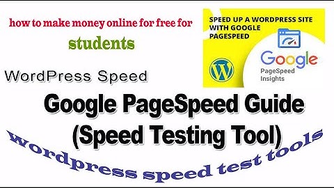 Woordprass  pagespeed--insights -- use 2022