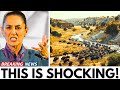 Mexico Released Bisons in a Desert — and 10 years later...