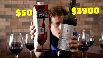 GUESS THE WINE | Very Cheap vs. Expensive | Do they taste different? 🍷