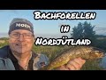 BACHFORELLEN in NORDJÜTLAND #browntroutfishing #vendsyssel