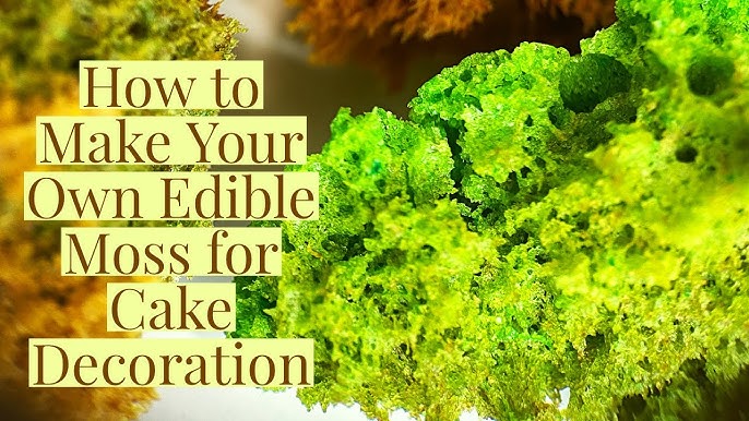 11+ Edible Rocks For Cake