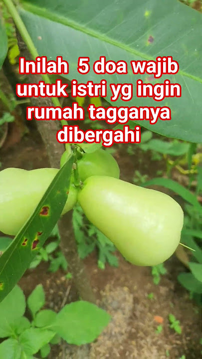 #Here are 5 obligatory prayers for wives who want their household to be blessed#