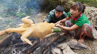 Top Video Fishing - Catch fish and cooking - wild cooking chicken - primitive life