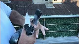 7   TR 25 21177 Erkek