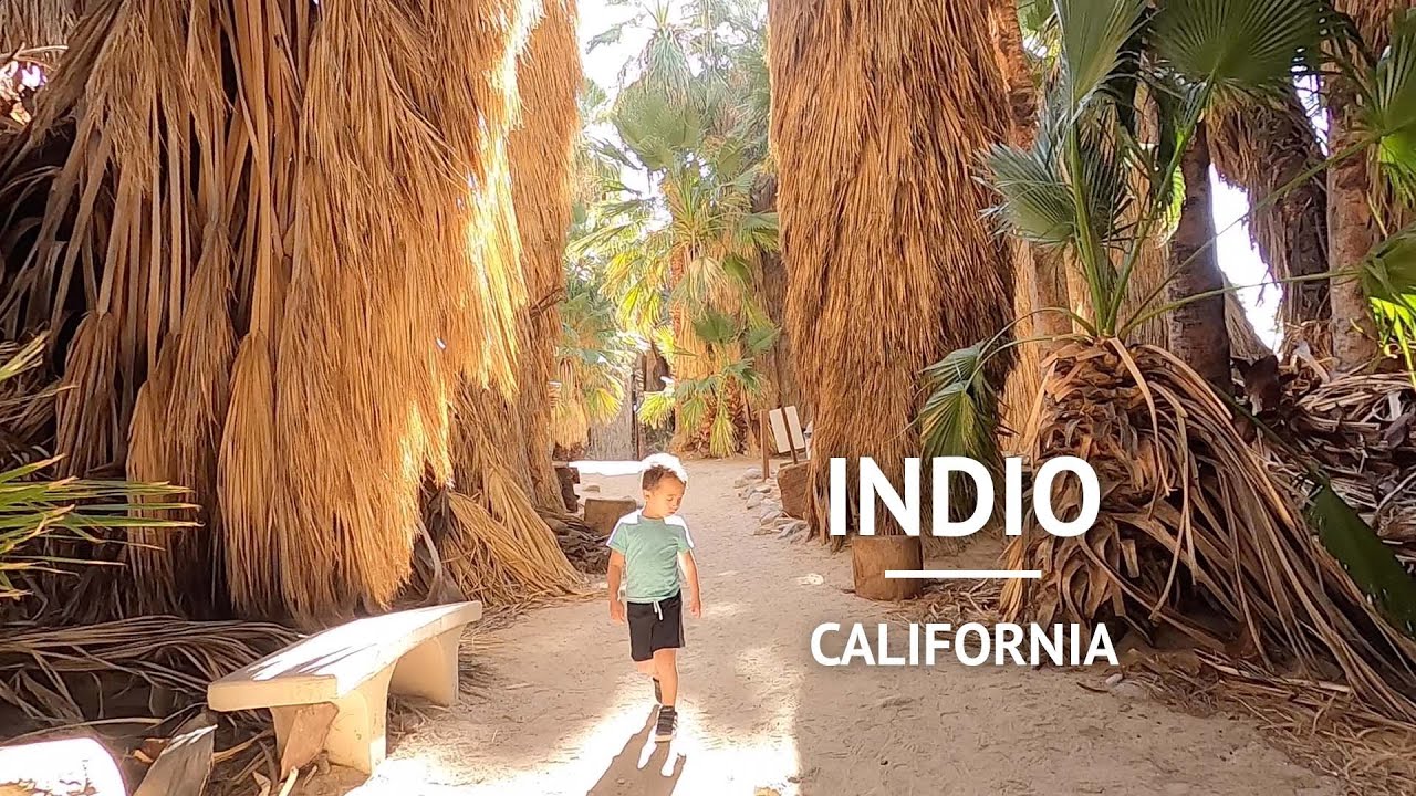 Hiking in Desert Hot Springs, Palm Springs, & Indio with Kids