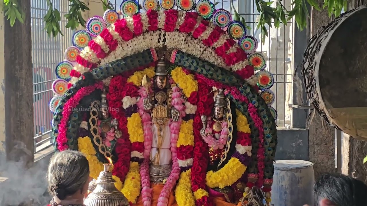 திருத்தணி முருகன் கோயிலில் மாசிப் பெருவிழா கொடியேற்றத்துடன் கோலாகலமாக தொடங்கியது.