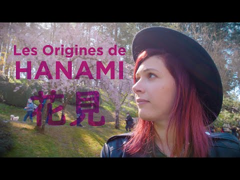 HANAMI, qu'est ce que c'est?