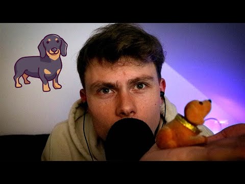 ASMR – TINGLY TRIGGERS 🐶 Dachshund Edition - Tapping, Fabric Sounds, Rambling & More