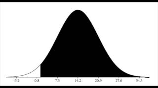 Statistics Final Project