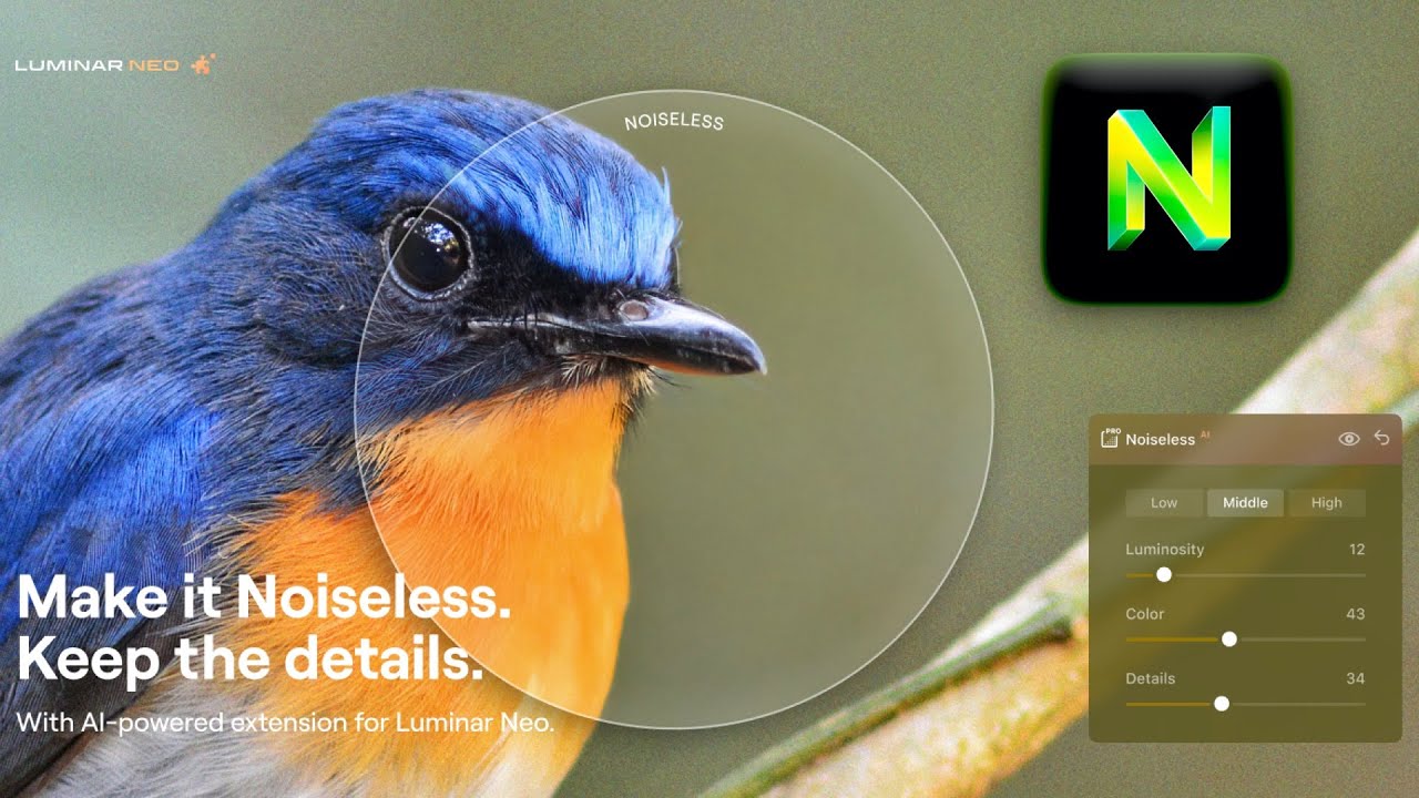 First Impressions: Noiseless AI in Luminar Neo - YouTube