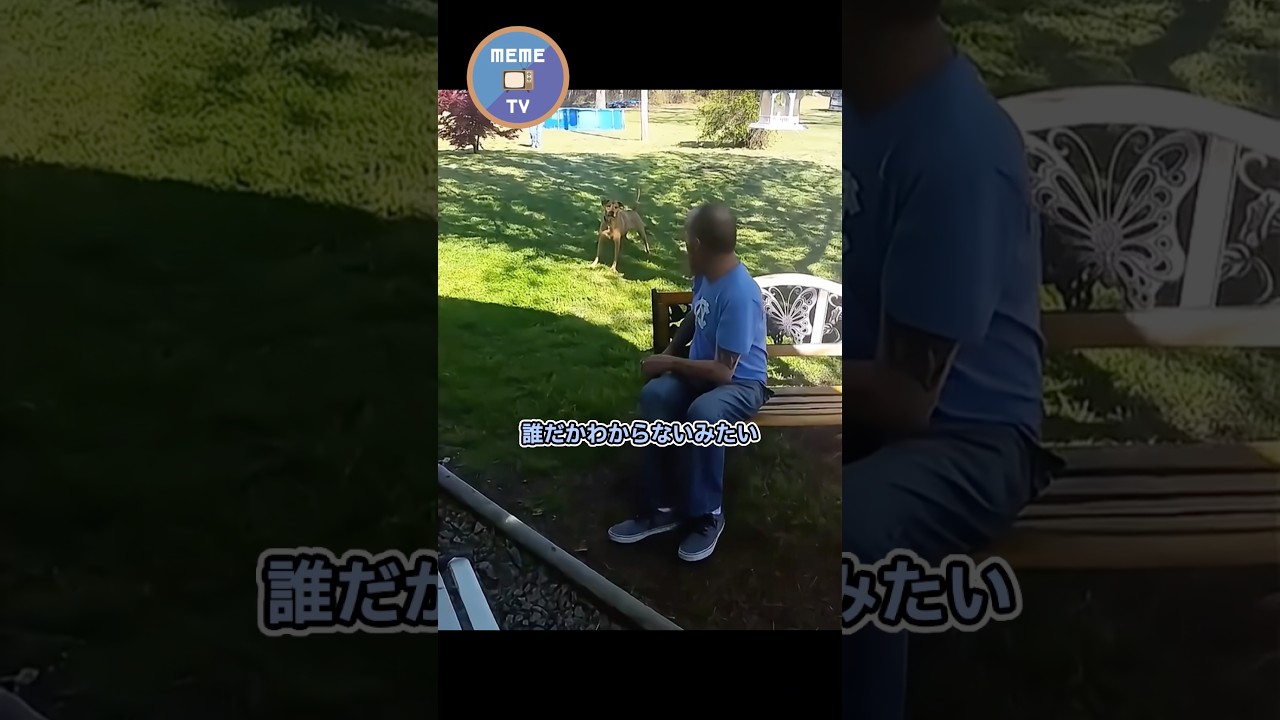 30kg痩せたパパを認識できなかった犬