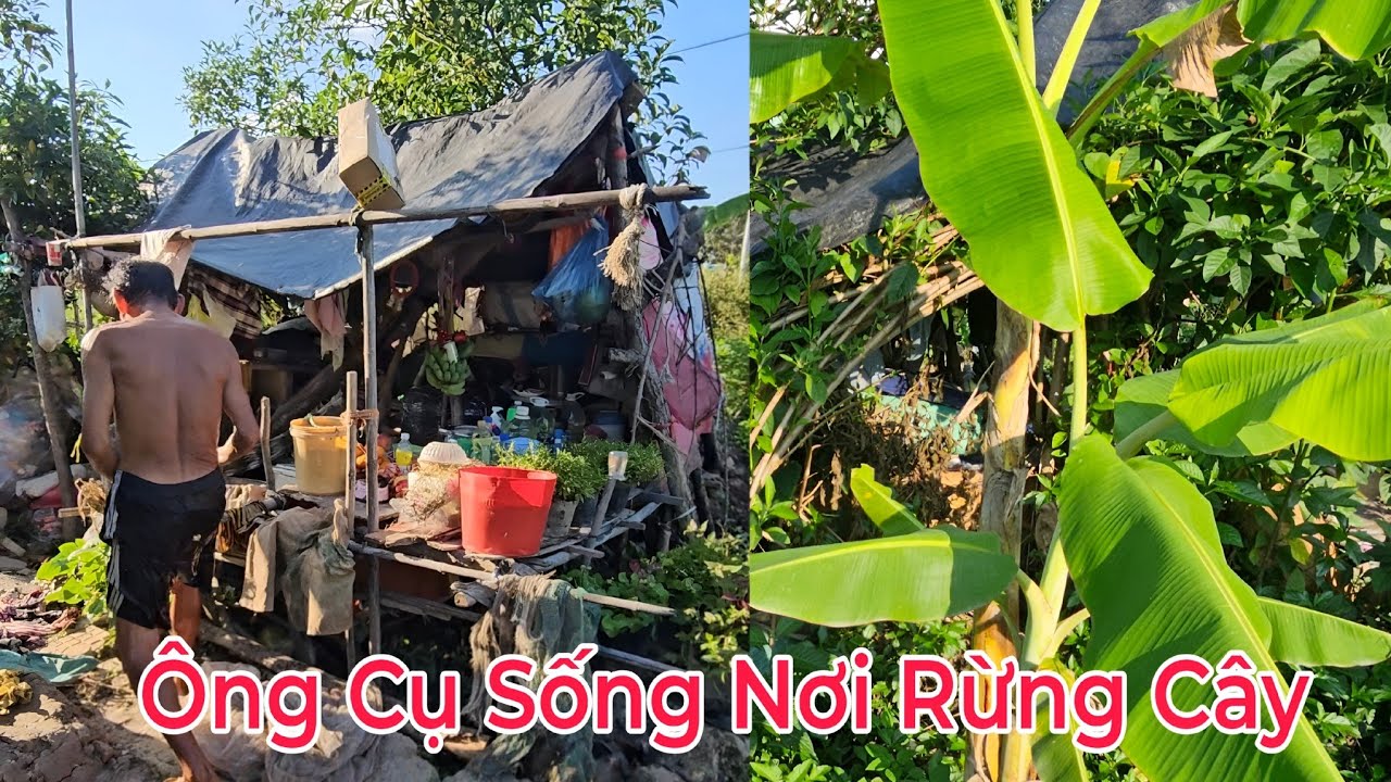 Ông cụ sống 1 mình nới rừng hoang tự cung tự cấp, cảnh tượng xem rợn người