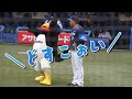 山川選手のどすこいがお気に入りのつば九郎 ～2021年のセ・パ交流戦にて～