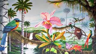 paisajes típicos Costarricenses vol 10