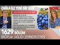 Şira Üzümünün Faydaları Neler? - Çağla ile Yeni Bir Gün 1629. Bölüm