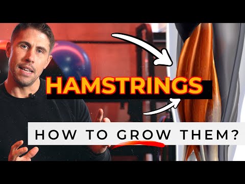 Favorite Hamstrings Exercises and How to Build them Faster!