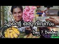 Final day of 1 week of day in my life|Day 7|My to do list|Amazon decor haul|easy snack|AsviMalayalam