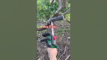 Cưa Workfix WF-CS12CP #cuapin #cuaxich #binhphat #woodworking #cuaxichwworkfix