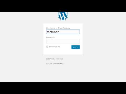 Automated website functionality test - steadywp