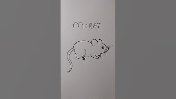 how to draw rat easy for beginner