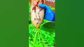 ide cerdas sederhana teknik memotong batang ubi menggunakan alat super tajam#shorts