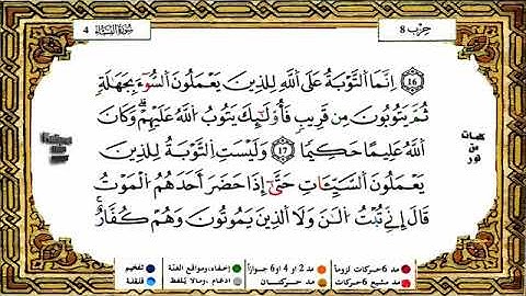 سورة النساء برواية ورش عن نافع القارئ ياسين الجزائري