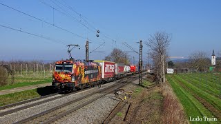 Rail traffic on the Rhine - Alps Freight Corridor /1