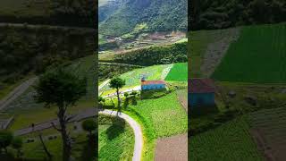 Las Porqueras Timotes, Estado Mérida Venezuela.